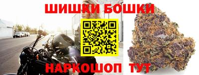 сатива Коммунар