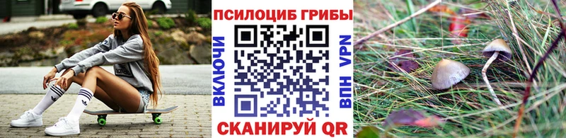 Псилоцибиновые грибы Psilocybine cubensis  даркнет сайт  Урюпинск 