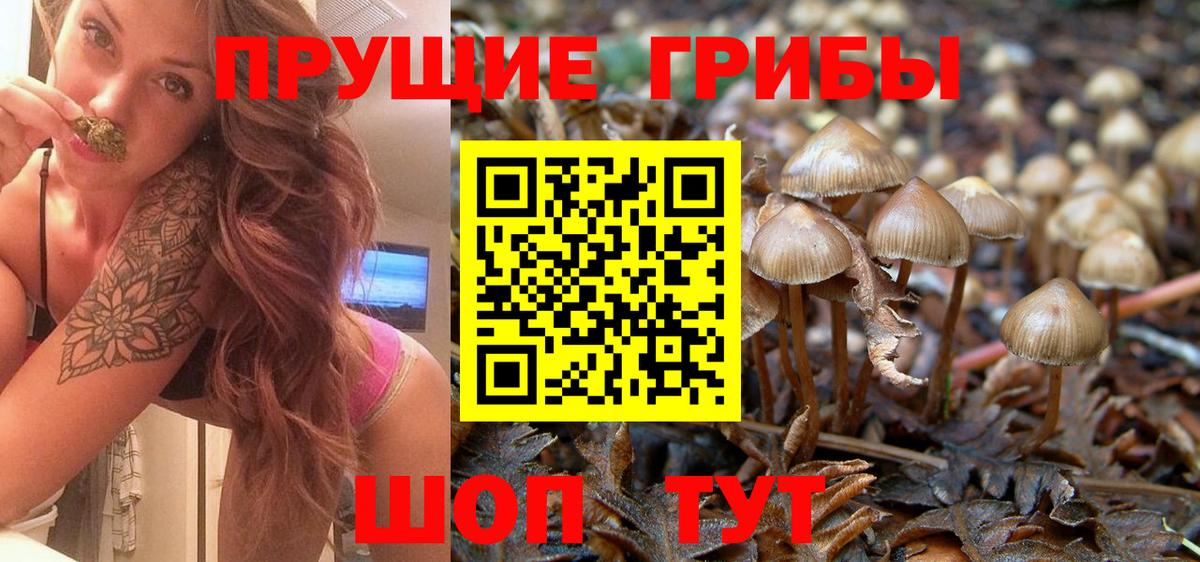 Галлюциногенные грибы GOLDEN TEACHER  Галлюциногенные грибы мицелий  Урюпинск  Вход с VPN 