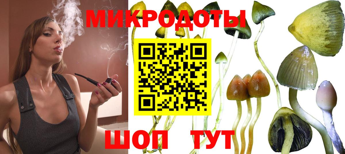 Псилоцибиновые грибы MAGIC MUSHROOMS Урюпинск